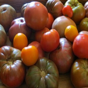 Cooking With Heirloom Tomatoes Image